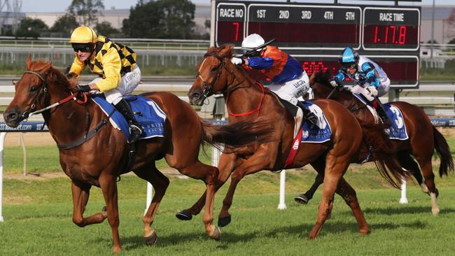 Big Money winning at Doomben. Pic: Tim Marsden.