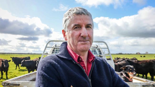 Colin Henke on his Mumbannar farm where he produces Black Angus cattle. Picture: Nicole Cleary