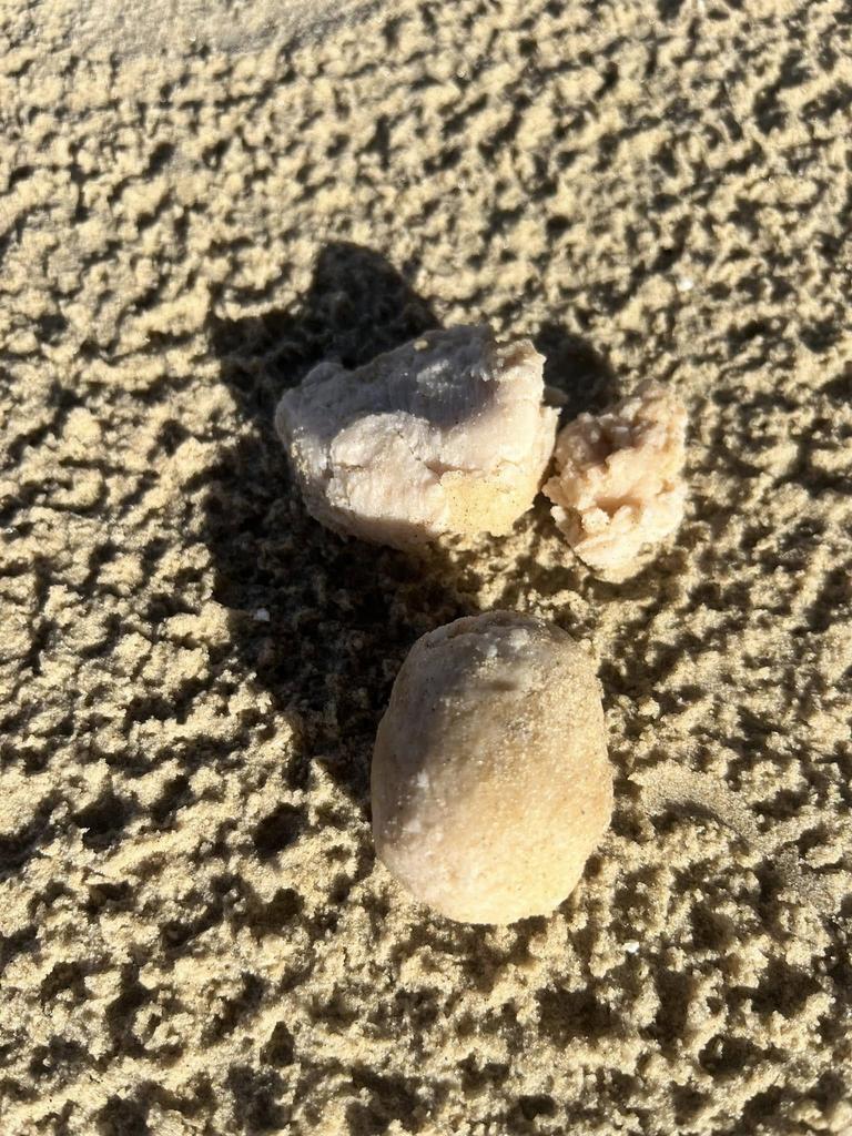 "Foul-smelling chunks" wash up on Verona Sands Beach. Picture: Neighbours of Fish Farming.