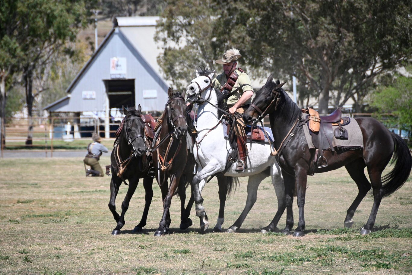 Queensland Mounted Infantry Challenge at the Toowoomba Showgrounds.