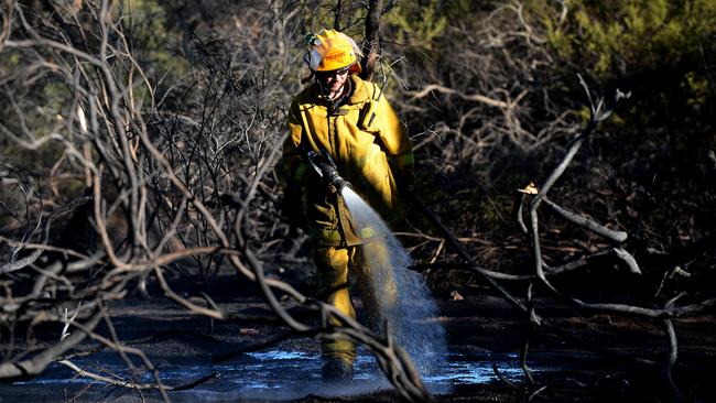 A CFS volunteers dampens down hot spots after a fire started by Garry Trestrail at Happy Valley in February, 2014. Picture: Roy VanDerVegt.