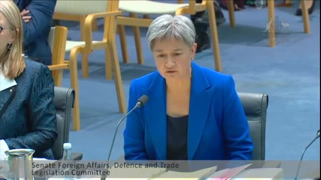 Race row erupts between Jacinta Price and Penny Wong