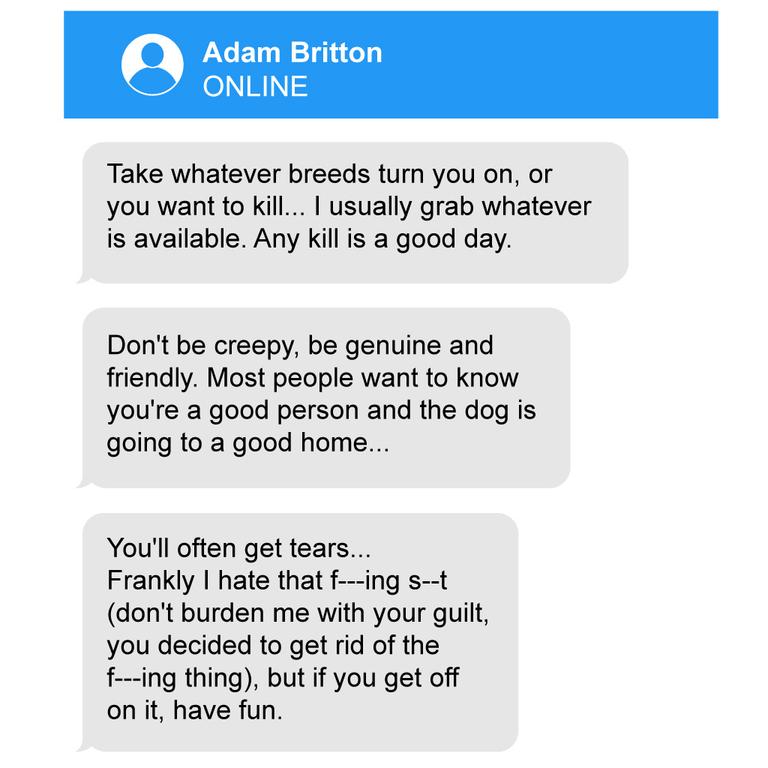 In the chats, Britton discusses how to commit his heinous acts and how they first came about.