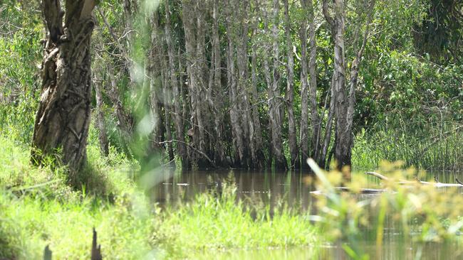 Scrubby Creek at Slacks Creek, where the search took place. Picture: Lachie Millard