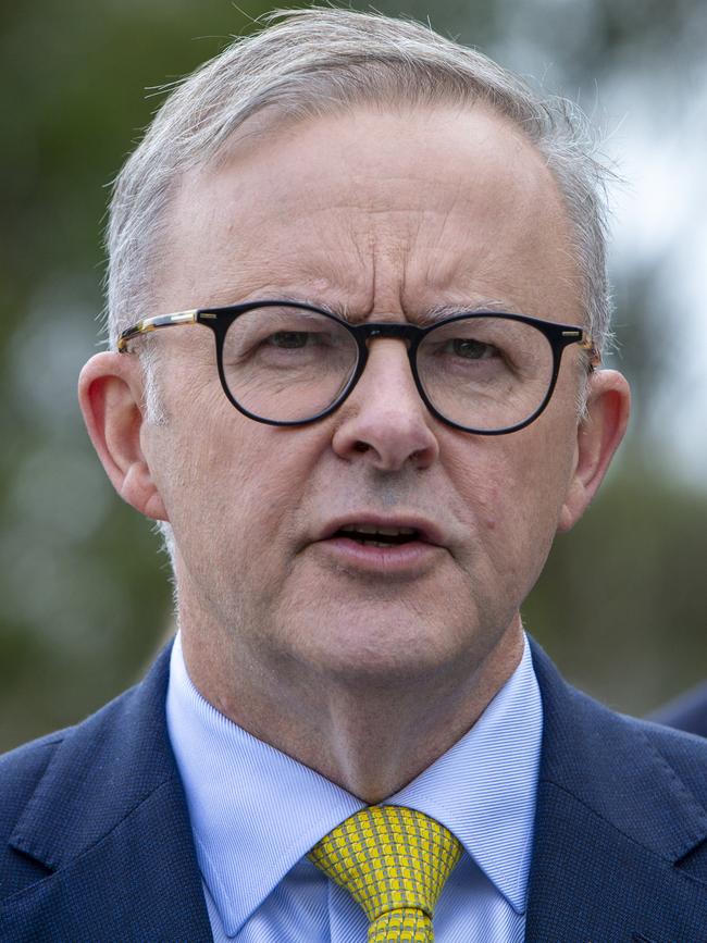 Federal Opposition Leader Anthony Albanese. Picture: Emma Brasier