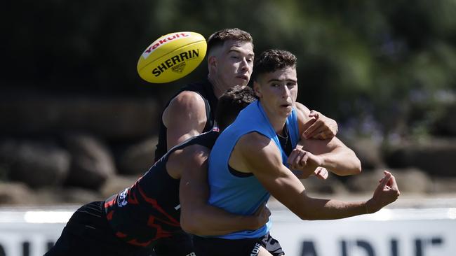 MELBOURNE , AUSTRALIA.February 8 , 2024. Essendon AFL training at the Hangar, Tullamarine. Elijah Tsatas of the Bombers during todays training session. Pic: Michael Klein