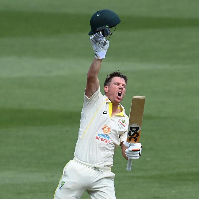 David Warner celebrates before succumbing to cramp.