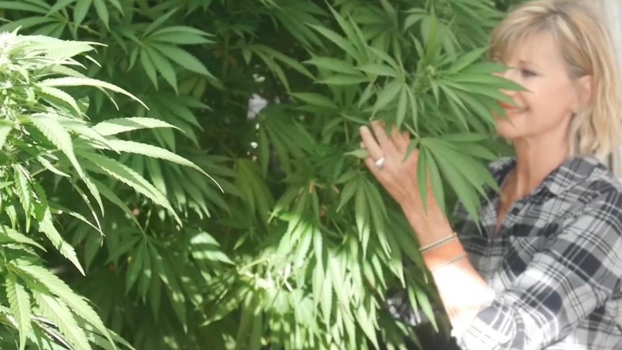 Olivia Newton-John inside her cannabis greenhouse on her LA ranch. Pic: Supplied