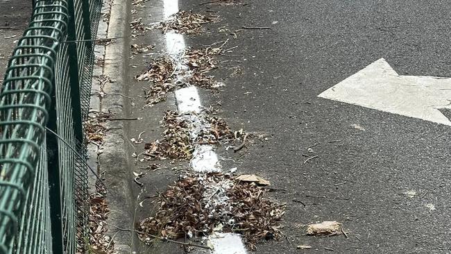 Line marking over leaves on the Gold Coast. Picture: Martin Webb