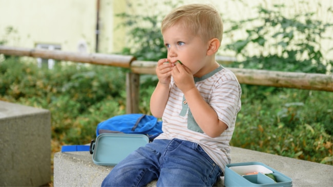 Nutritionist Susie Burrell claims Bento and snack boxes are not a great option for kids. Image: iStock 