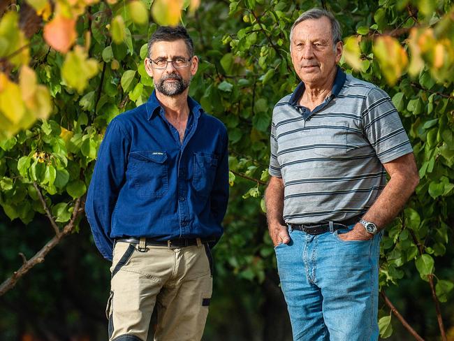 Jason Size and Tim Grieger from Summerfruit SA on April 28th, 2021, in Tim's Renmark apricot orchard.Picture: Tom Huntley