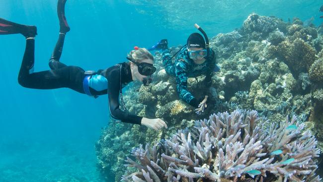 North Queensland destinations aren’t seeing the booking numbers they’d hoped for. Picture: File.