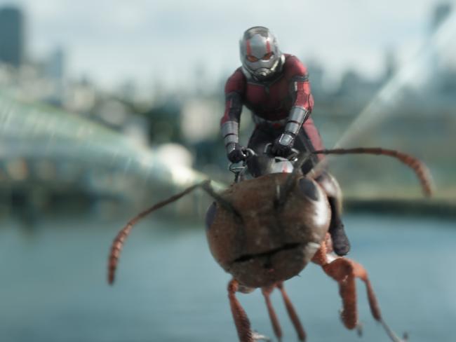 Ant-Man and the Wasp is a far more cohesive, exciting and entertaining commodity than its predecessor. Picture: Film Frame ©Marvel Studios 2018