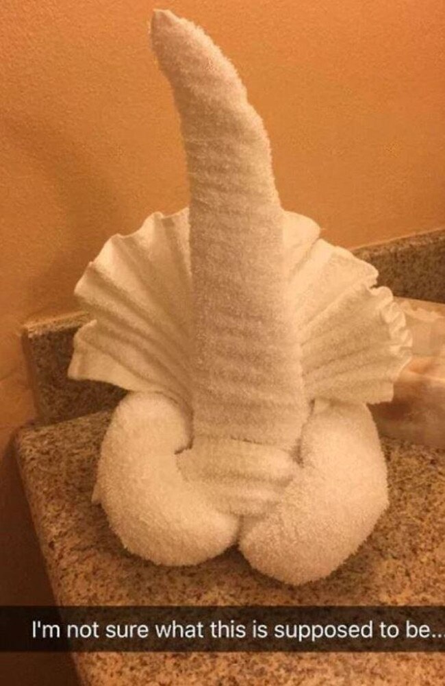 A hotel maid got very creative with the towel in one room — but the result looks rather rude.