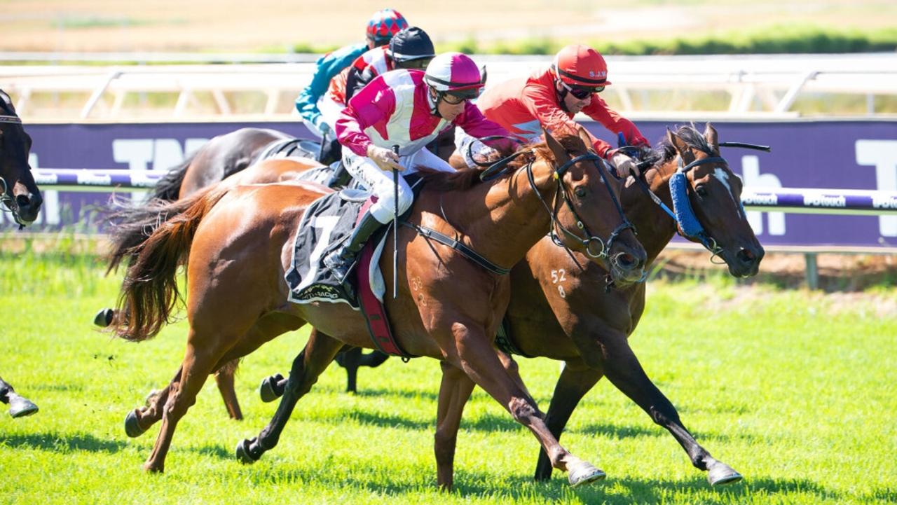 Western Knight (pink and white) will be taking a big leap in grade when he contests The Quokka at Ascot on Saturday. Picture: Western Racepix