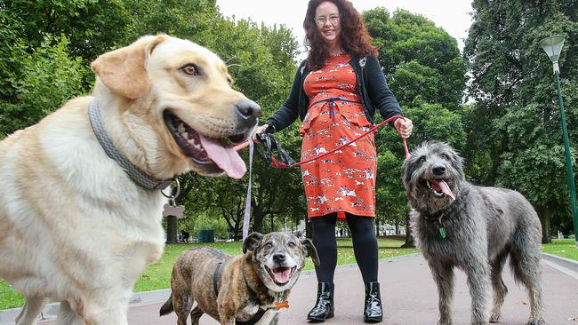 Comedian Mel Buttle with Buddy, Charlie and Cliff. Picture: Ian Currie