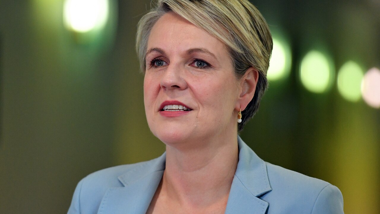 Tanya Plibersek Says Morrison ‘looks Around For Someone Else To Blame When Things Get Difficult