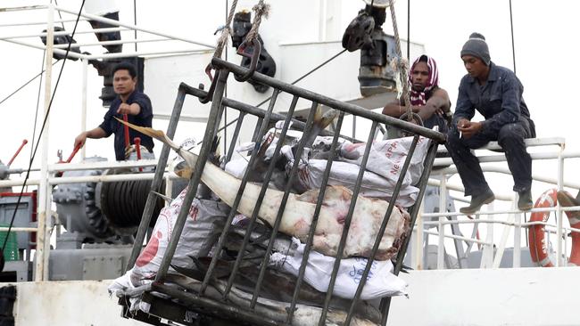 Workers in Benjina, Indonesia, load fish onto a cargo ship bound for Thailand. Seafood caught by slaves mixes in with other fish at a number of sites in Thailand, including processing plants.