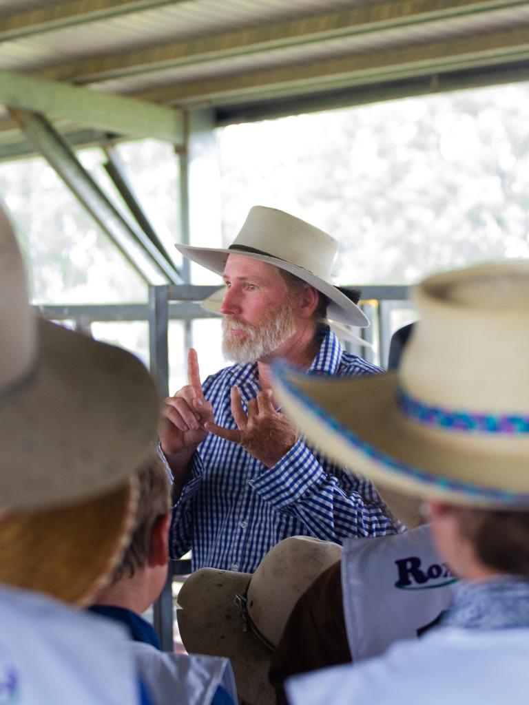 Students were taught what judges look for in a showing class.