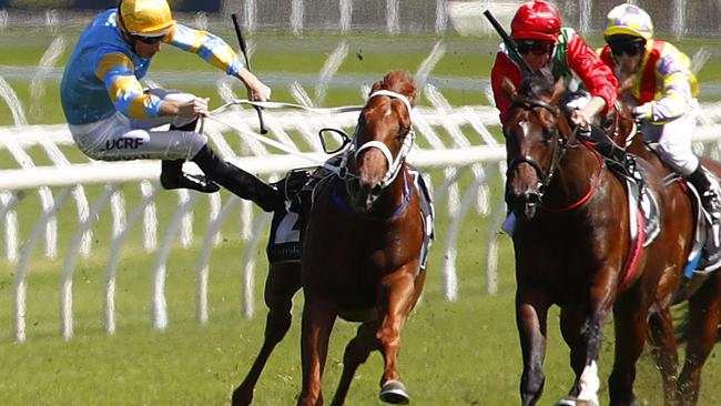 Jockey Hugh Bowman falls from Performer a few weeks ago