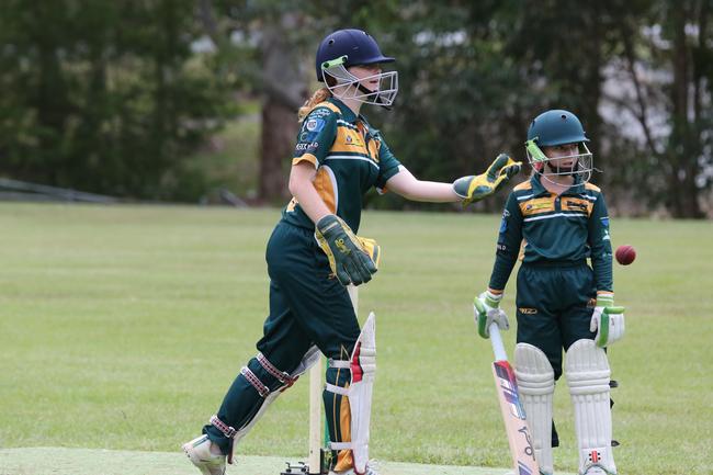 74 pics: Gold Coast Cricket, Div 2 finals Palm Beach, Surfers Paradise ...