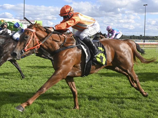 Region Time (outside) can land a deserved win at Wagga on Friday. Picture: Bradley Photos