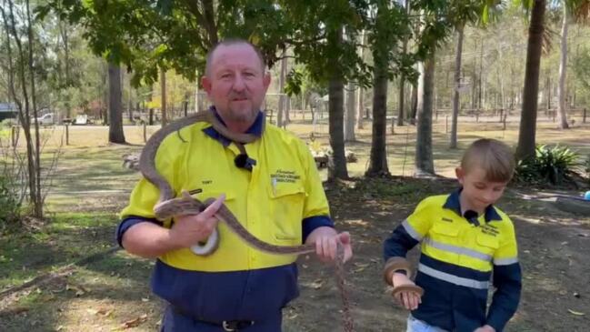 Snake catcher Tony Harrison 'bitten thousands of times'