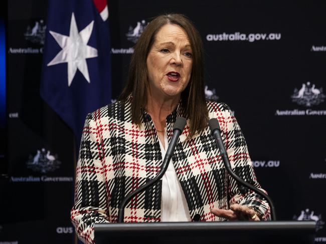 Government Press conference at Parliament House in Canberra, announcing the launch of the CovidSafe application, 26 April 2020. Australian Government's Chief Nursing and Midwifery Officer  Alison McMillan. Picture by Sean Davey
