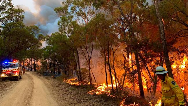 Westleigh RFS attend the 120,000ha Gospers Mountain fire on Sunday. That blaze is sending thick smoke south to cover Sydney.