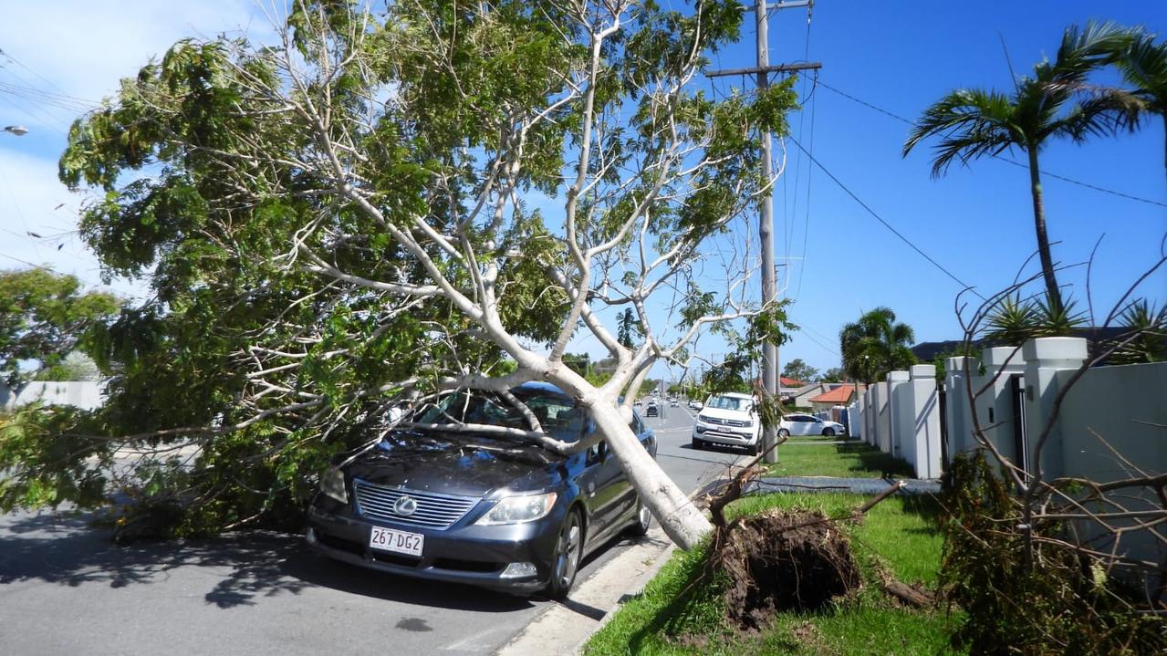 The storms destroyed critical infrastructure and felled trees. Picture: NCA NewsWire / Scott Powick