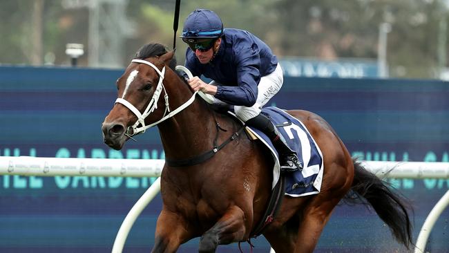 Switzerland bounced back from a first-up failure with a strong win in the Roman Consul Stakes at Rosehill. Picture: Getty Images