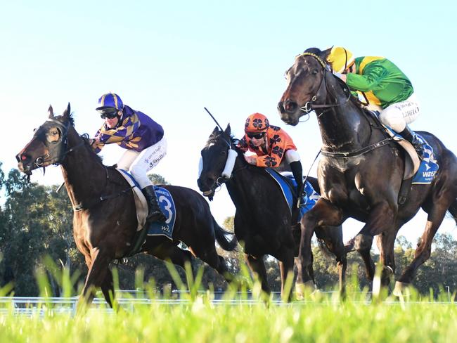 King's Reign ridden by Linda Meech wins the Winsec Savings & Loans Handicap at Wangaratta Racecourse on August 24, 2024 in Wangaratta, Australia. (Photo by Ross Holburt/Racing Photos via Getty Images)