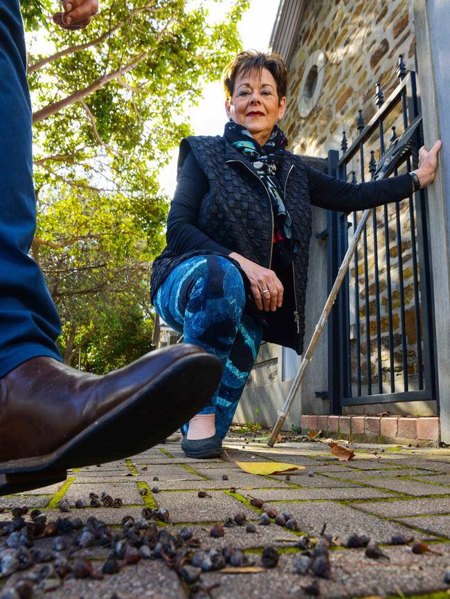 Cr Sue Whitington with the seed pods scattered on the ground. Picture: AAP / Brenton Edwards