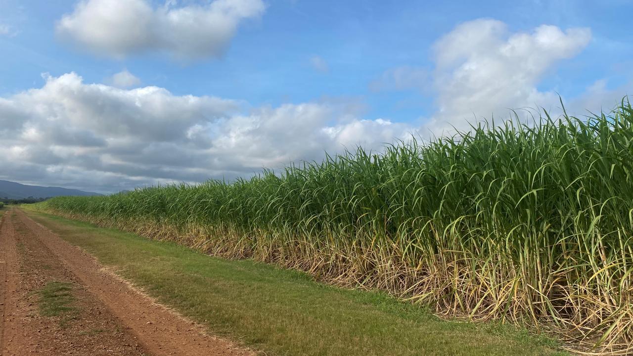 Currently used for large-scale sugarcane and beef production, Racecourse spans three aggregations totalling 14,425ha in the Clairview and Mackay regions of Queensland. Picture: Contributed