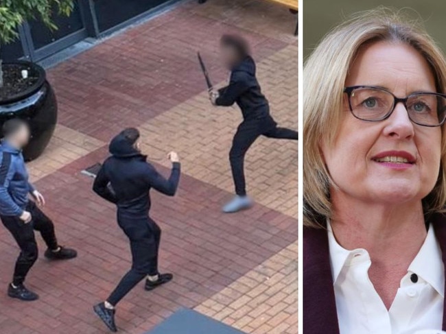 The Premier has made a massive announcement after up to 10 people, some armed with machetes, were involved in a brawl that plunged a shopping centre into lockdown.