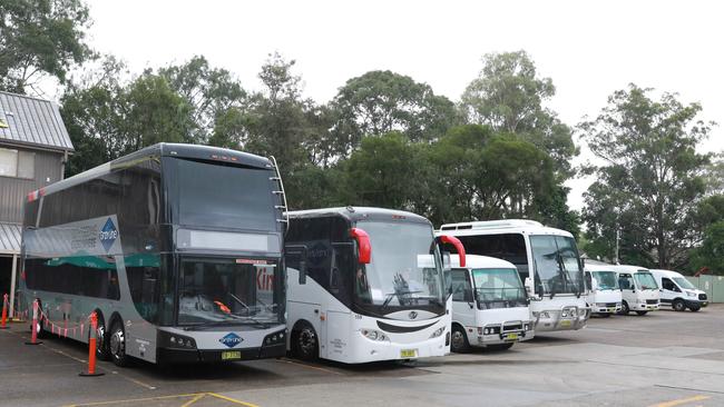 Buses deliver tourists to Featherdale Wildlife Park from all over the globe. Picture: Angelo Velardo