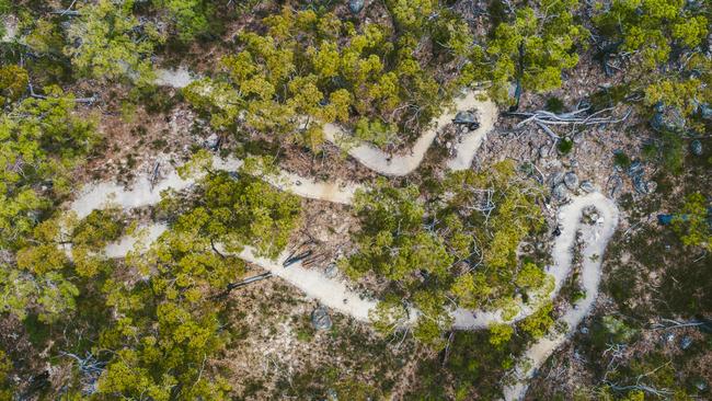 St Helens Mountain Bike Trails to be opened in November. Picture: Jasper da Seymour