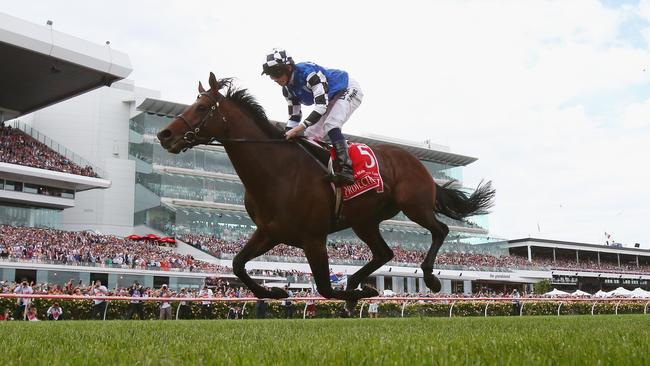 Protectionist is battling to overcome a back injury.