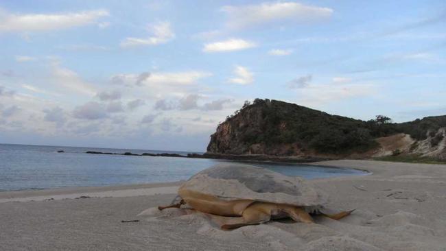 Great Keppel Island. Picture: Lyndie Malan