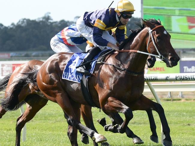 Masked Crusader was huge at Bendigo once he was able to get clear.