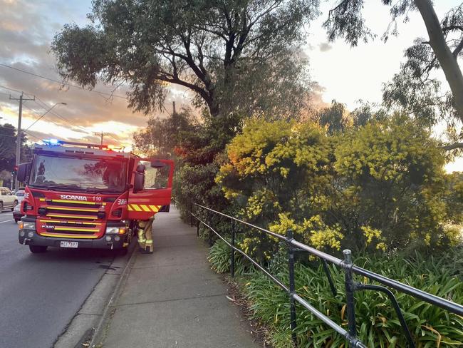 Locals living near Murray rd in Coburg say “its too scary” to use the footpath by the busy road and want speed limit reduced. Picture: supplied.