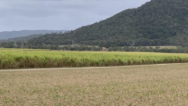 At about 7am on August 27, a tractor incident took the life of 87-year-old cane farmer Tony Galea. Tony's son Mark was also injured. Picture: Duncan Evans.