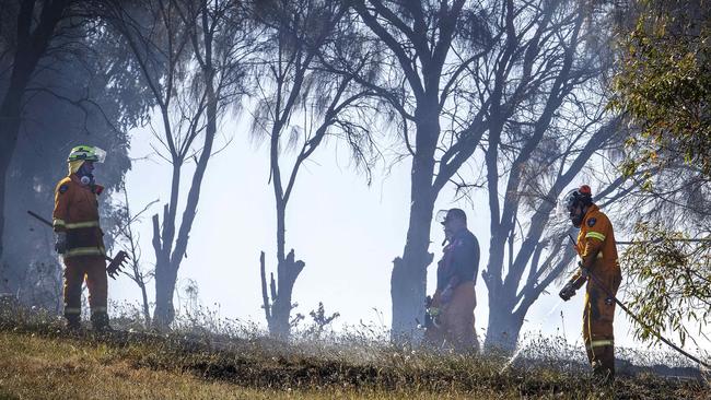 Herdsmans Cove grassfire. Picture: Chris Kidd