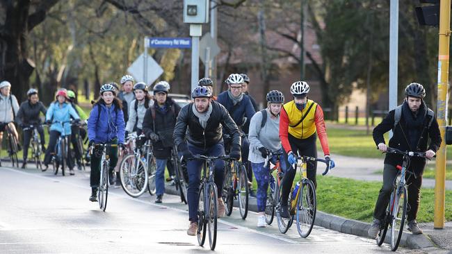 Cyclists ride down Royal Parade in Carlton. Picture: Andrew Tauber