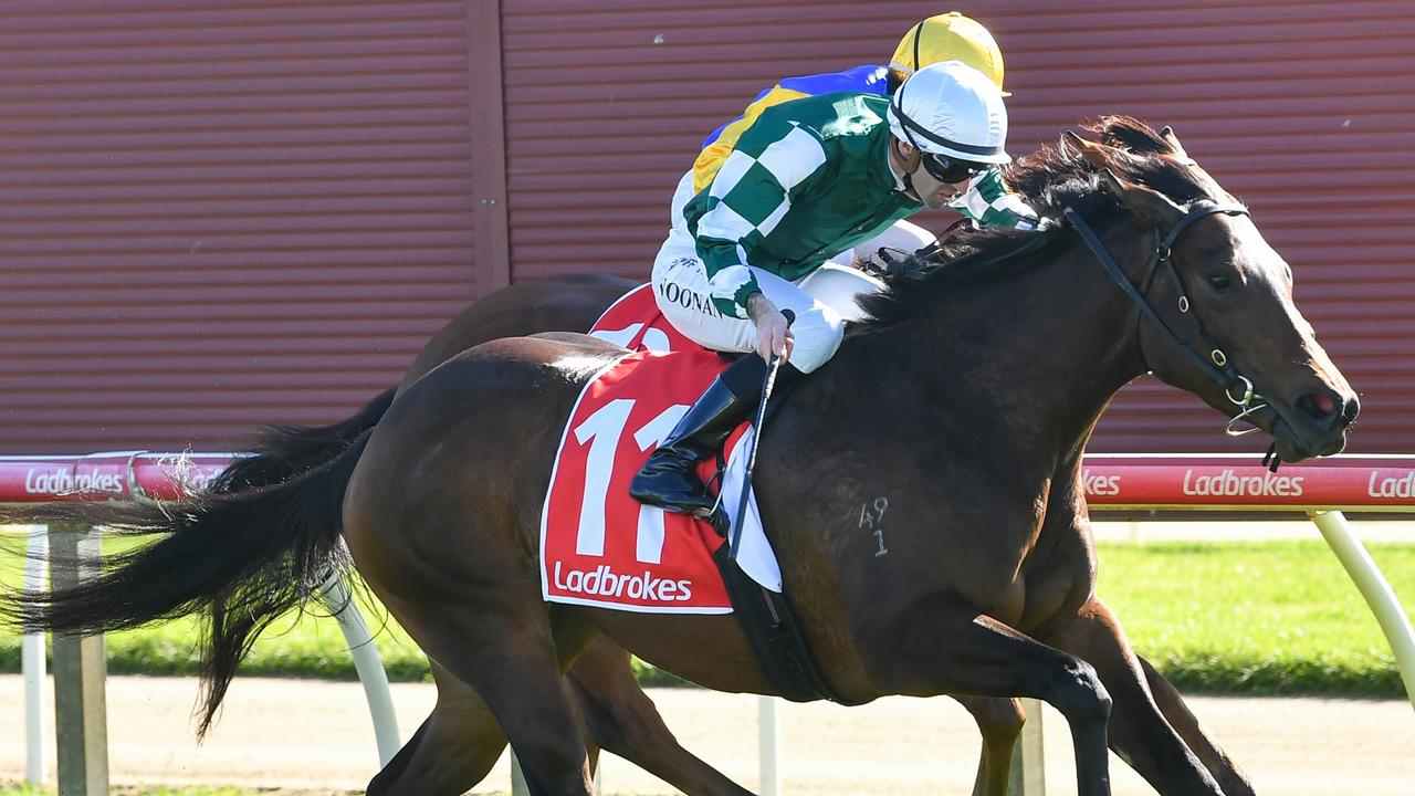 On The Punt: Sun to rise at Mornington on Monday