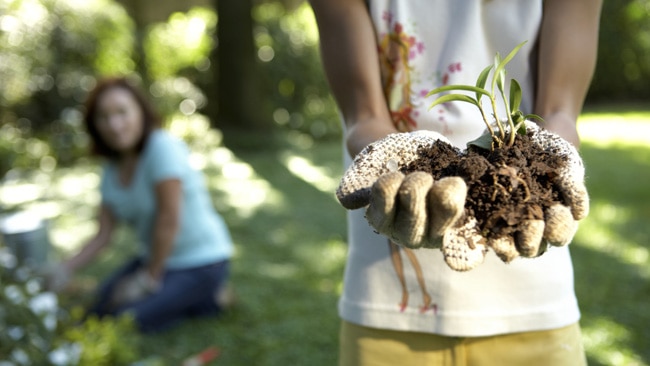 kid gardening