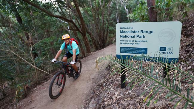 A mountain bike rider peddles along Stage One of the Wangetti Trail, an 7.8 kilometre stretch of what will eventually become a 94 kilometre hiking and mountain biking track connecting Palm Cove to Port Douglas. Picture: Brendan Radke