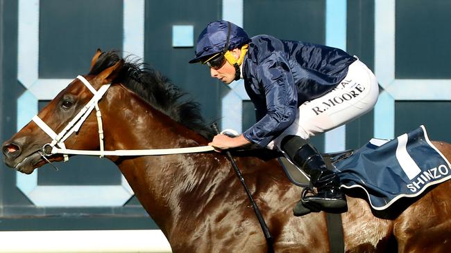 Shinzo wins the Golden Slipper.