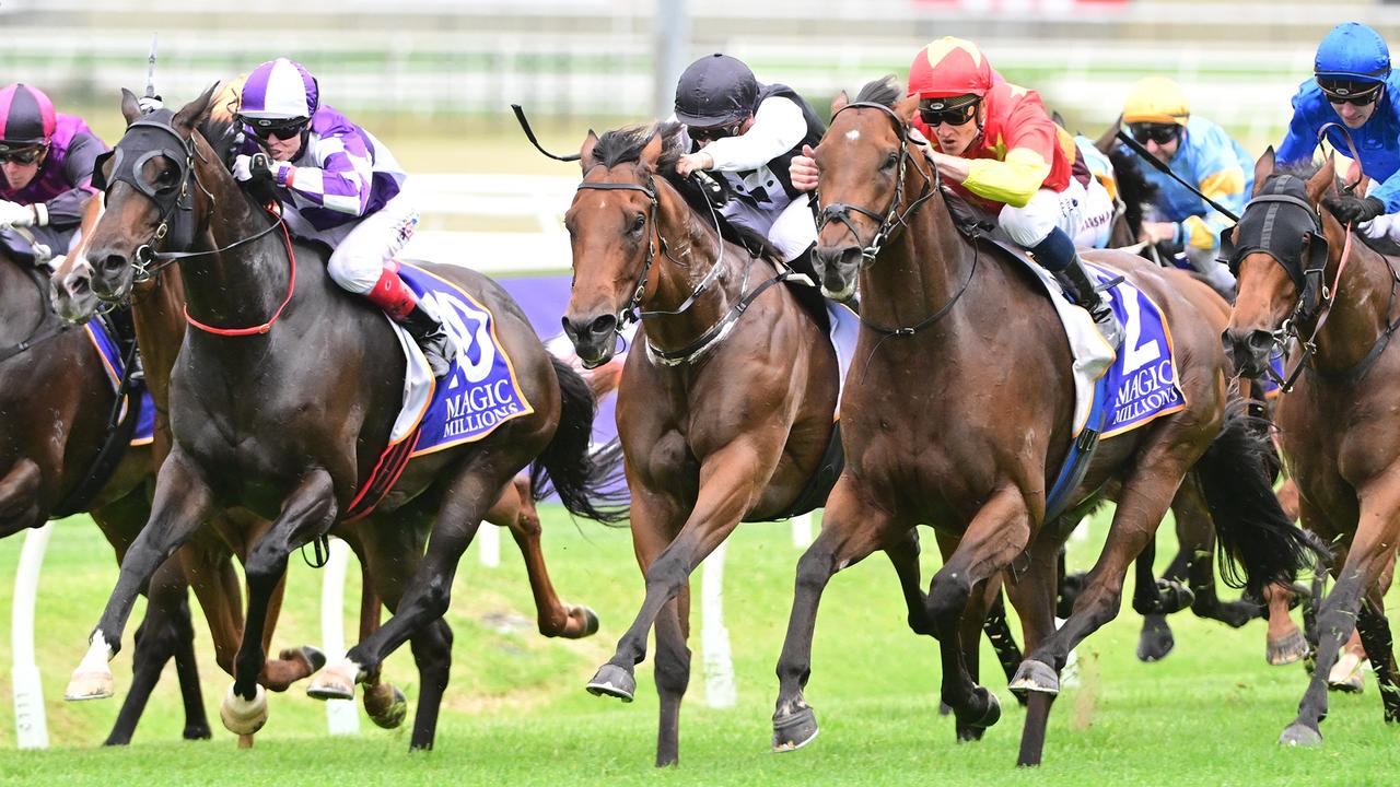 Peter Snowden says King Of Sparta would go from a $1.50 chance to a $51 chance on a heavy Gold Coast surface. Grant Peters– Trackside Photography