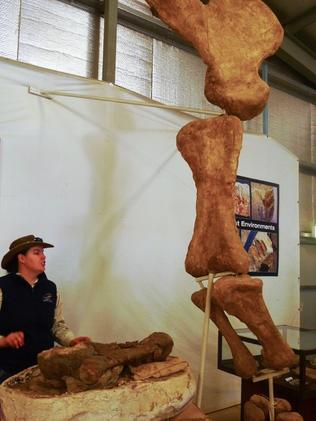 You can help put dinosaur bones together. Photo: Leah McLennan